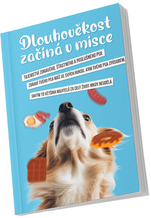 Bonusová e-kniha: Dlouhověkost začíná v misce