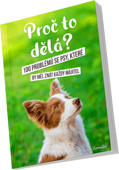 Bonusová e-kniha: Proč to dělá?